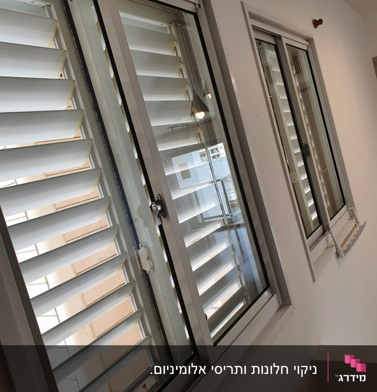 חלונות נקיים עם תריסים לבנים